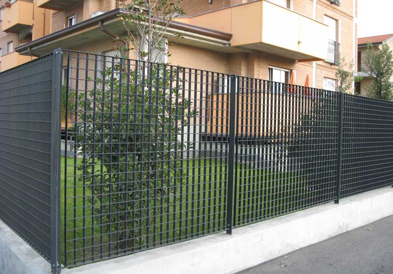 Linea Regular